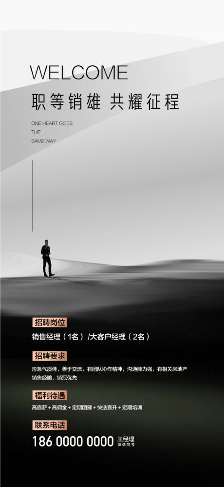 职等销雄共耀房地产销售精英招聘海报