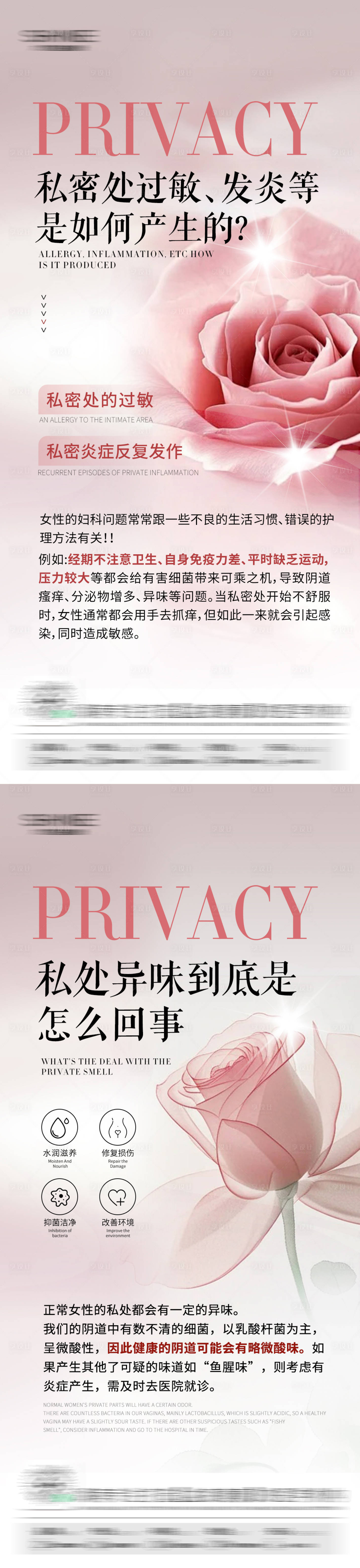 源文件下載【私密科普海報】編號：41830028957016574