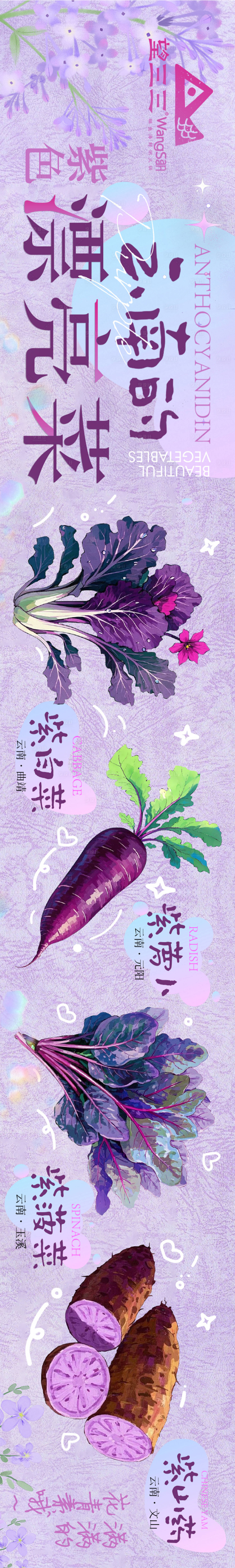 源文件下载【享设计】搜索编号：18280029092844299【云南紫色漂亮菜五连图】