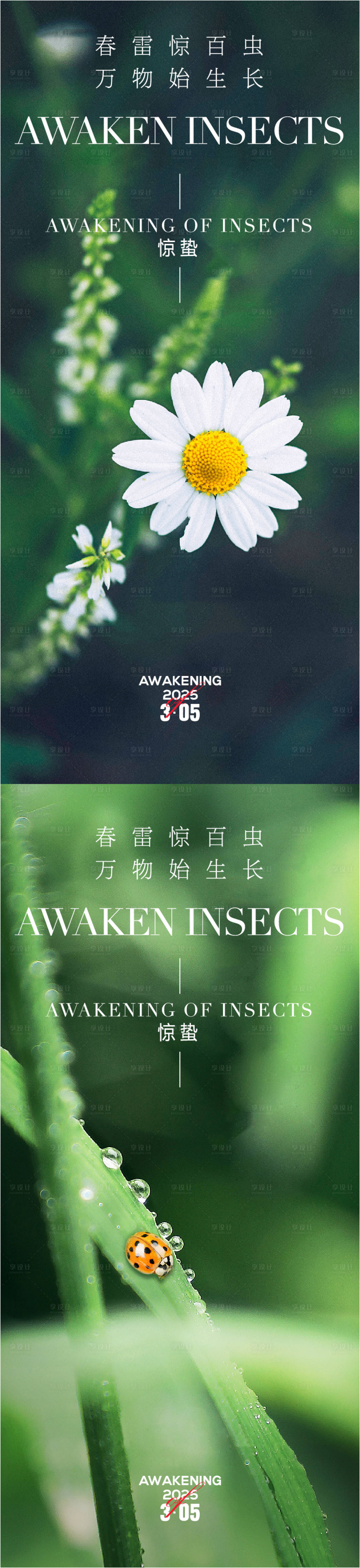 源文件下載【享設(shè)計】搜索編號：56290028960297234【驚蟄春分】
