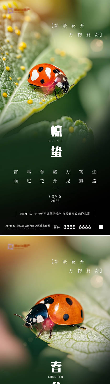 源文件下載【驚蟄春分節(jié)氣海報(bào)】編號(hào)：79900028947602795