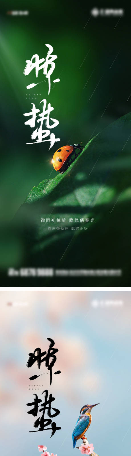 源文件下载【惊蛰海报】编号：17380028713057463