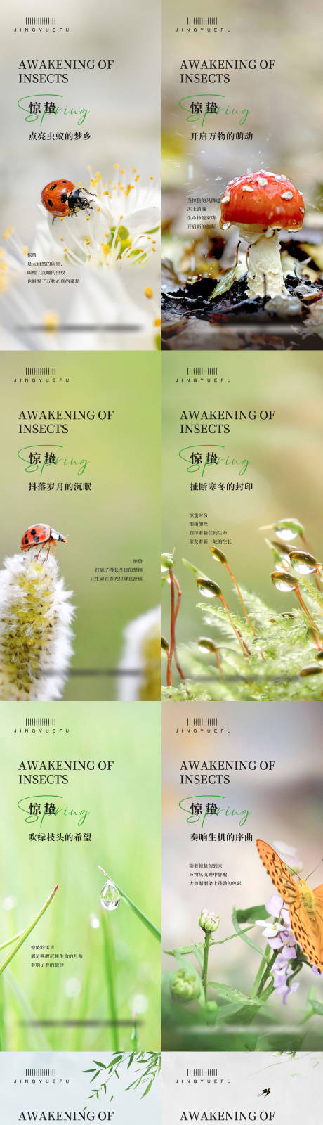 源文件下载【享设计】搜索编号：56210029027521141【惊蛰节气】