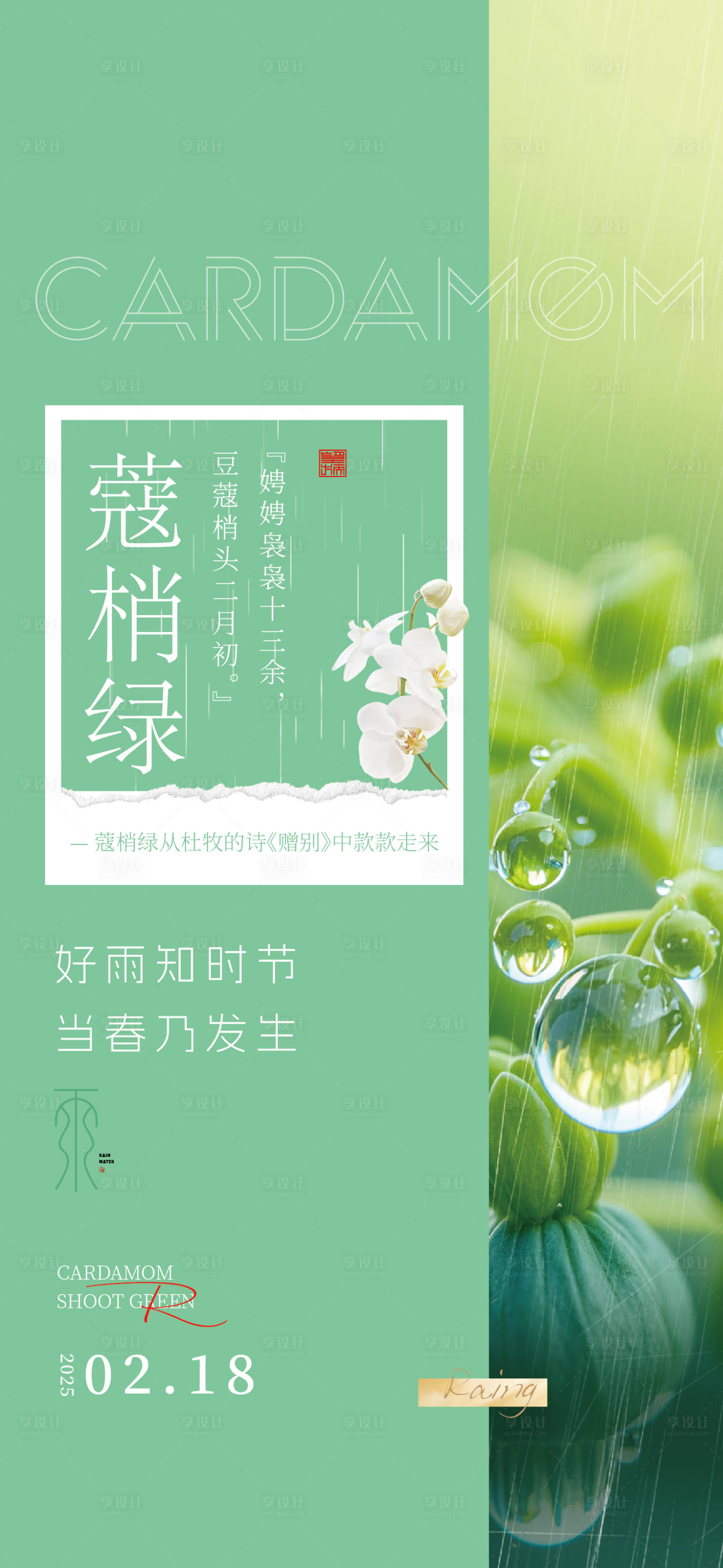 源文件下载【雨水节气海报】编号：64460028761923832