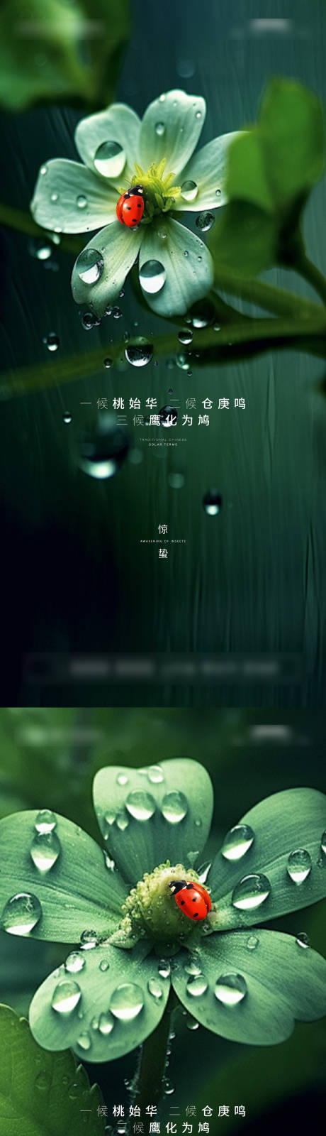 源文件下載【驚蟄節氣海報】編號：36940029055446948