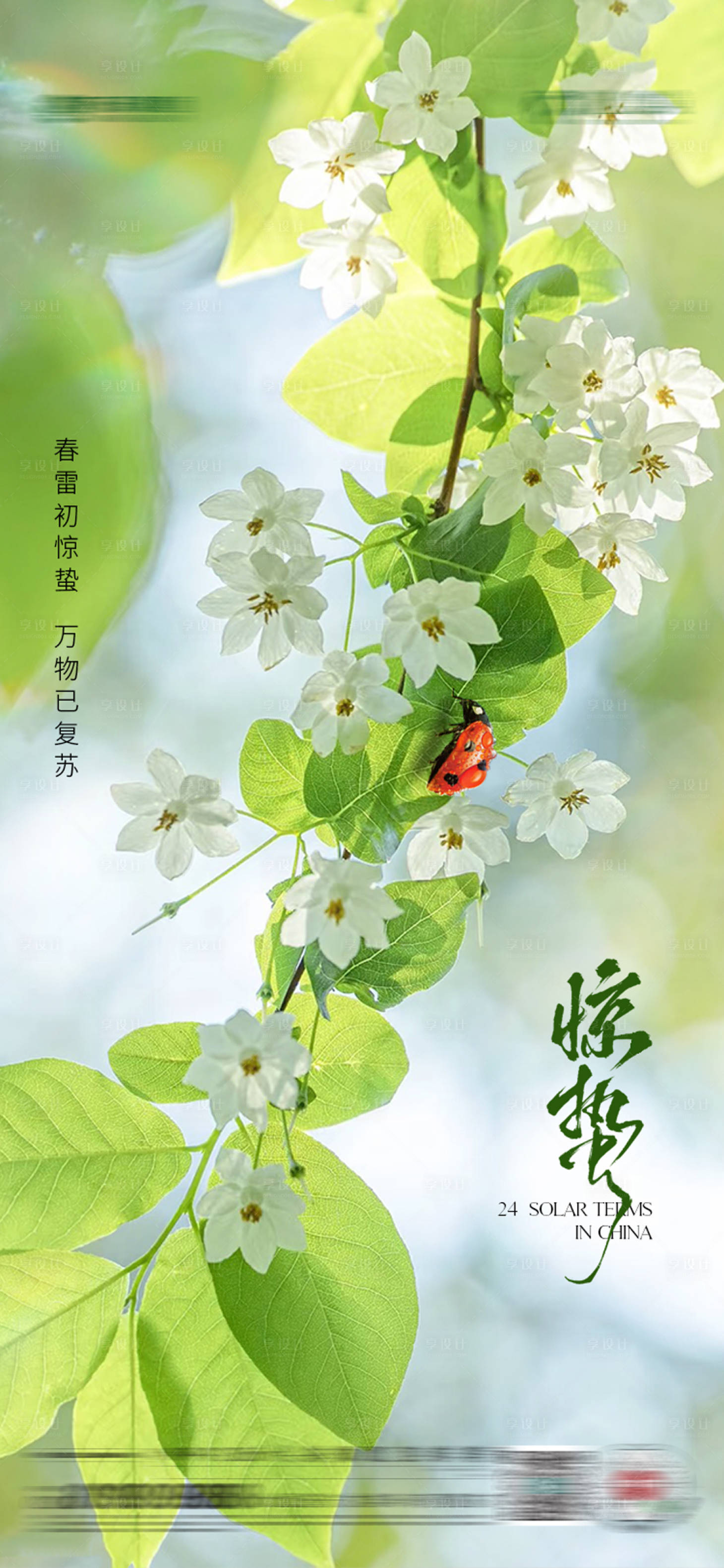 源文件下载【享设计】搜索编号：51370029003556441【惊蛰节气海报】