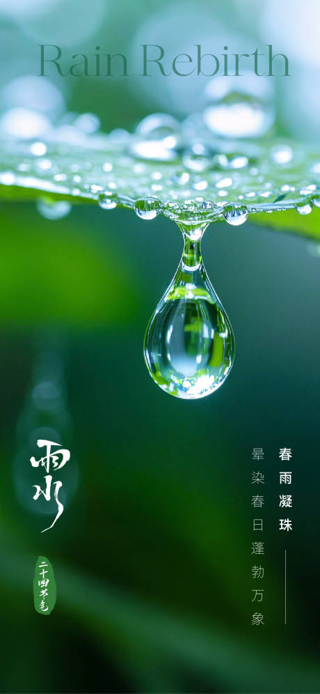 源文件下载【雨水节气海报】编号：59550028836655748