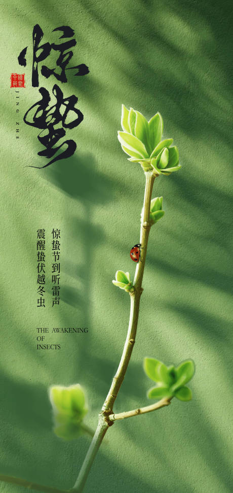 惊蛰创意海报