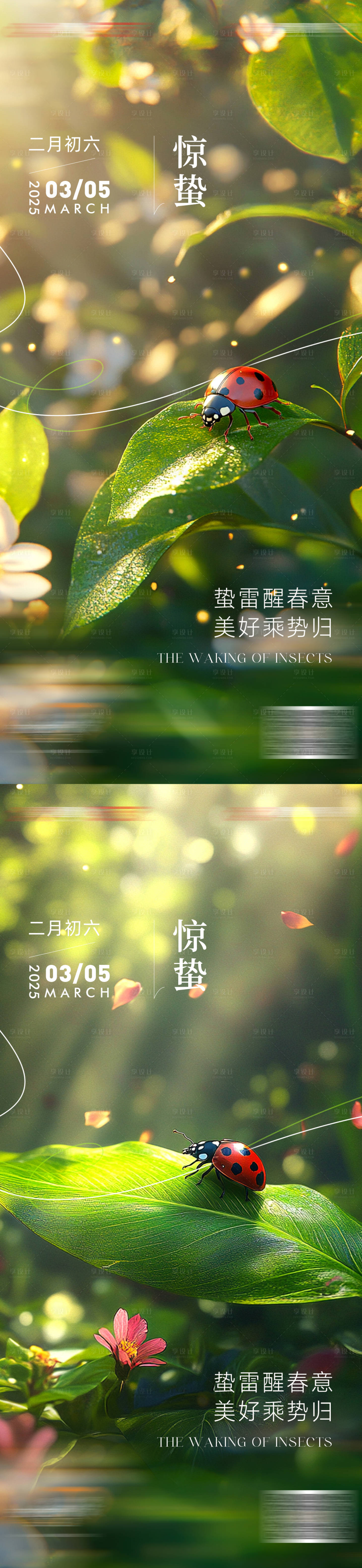 源文件下载【享设计】搜索编号：24040029069103404【惊蛰海报】