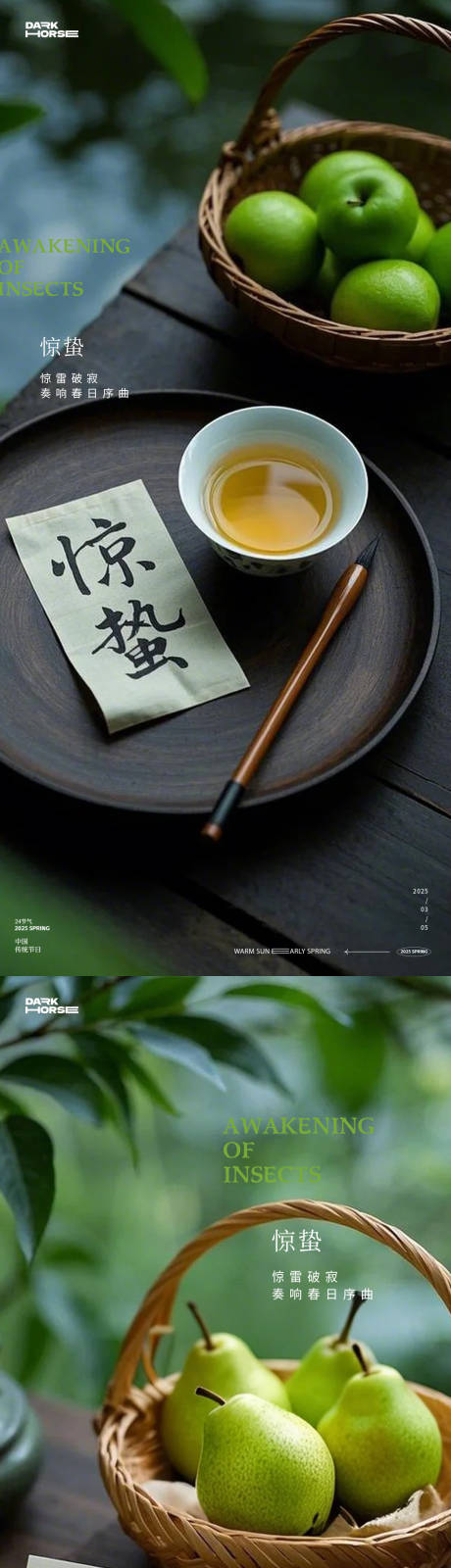 源文件下载【享设计】搜索编号：81750028961498953【惊蛰中式海报】