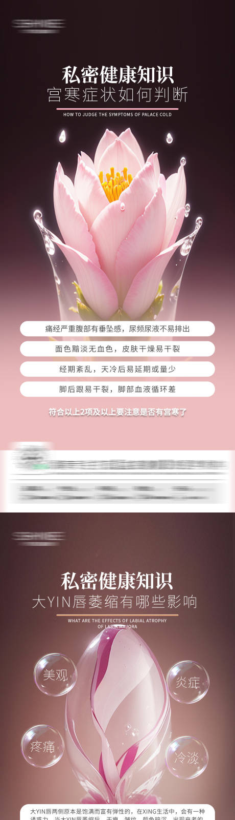 源文件下载【私密科普海报】编号：32250028957774295