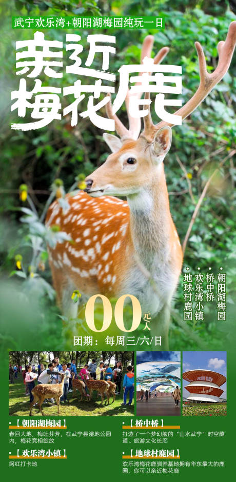 源文件下载【享设计】搜索编号：71190028966777903【亲近梅花鹿02】