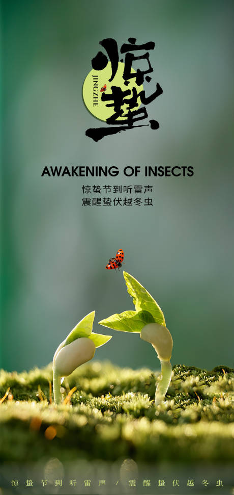 源文件下载【享设计】搜索编号：25990028878809000【二十四节气惊蛰创意海报】