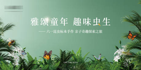 昆虫标本活动