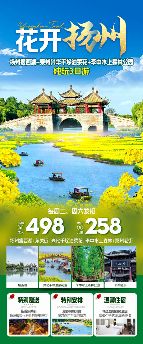 扬州兴化油菜花旅游海报