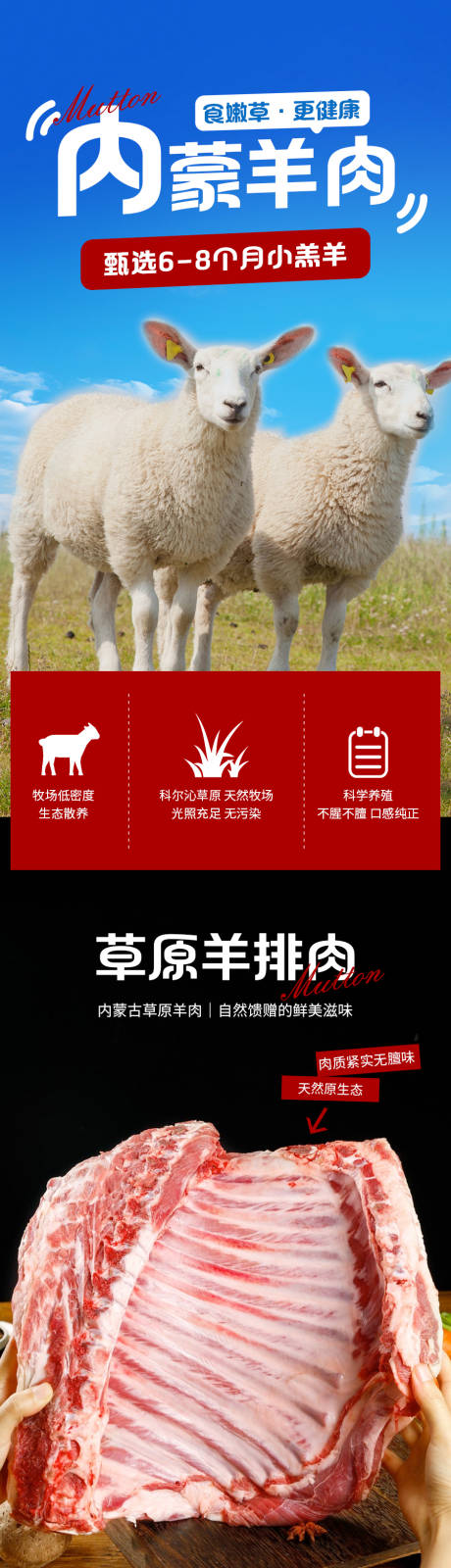 羊肉详情页