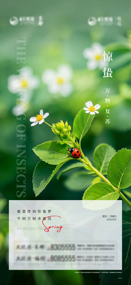 源文件下载【惊蛰单图】编号：35360028982422631