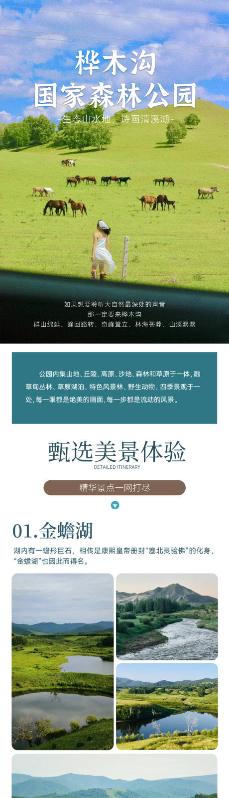 森林公园海报