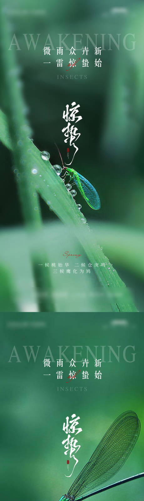 源文件下载【惊蛰节气海报】编号：43370029055834545