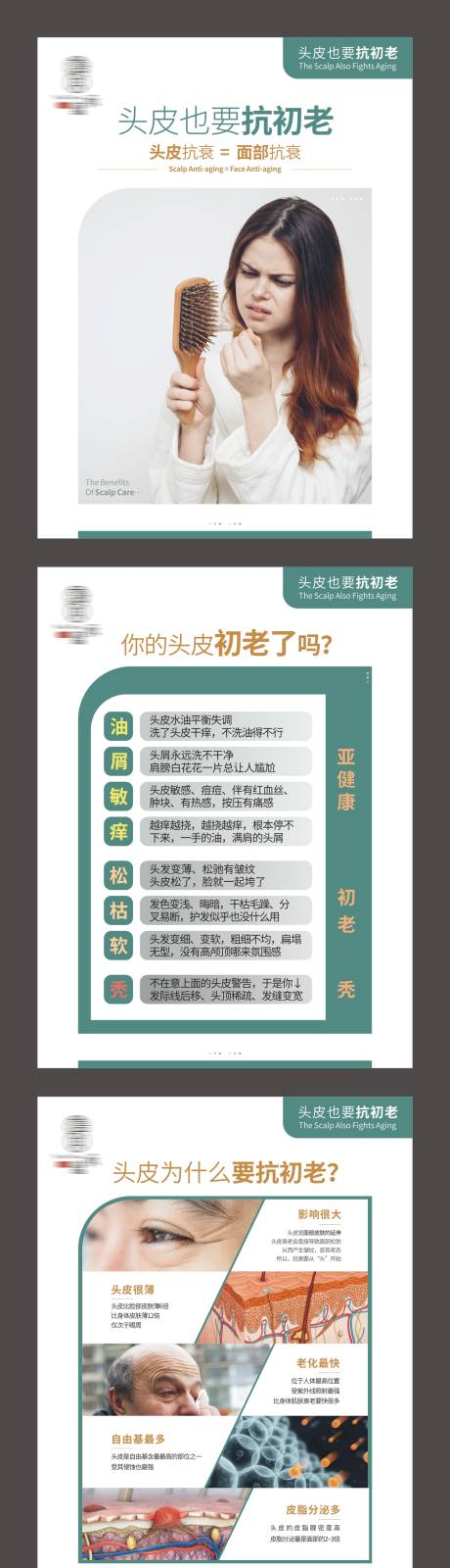 头皮护理知识美发方案海报