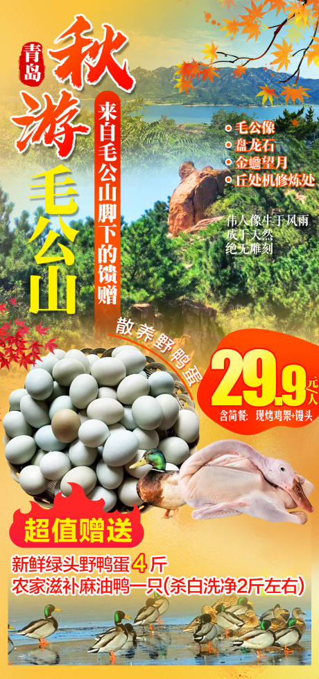 秋游毛公山旅游海报 