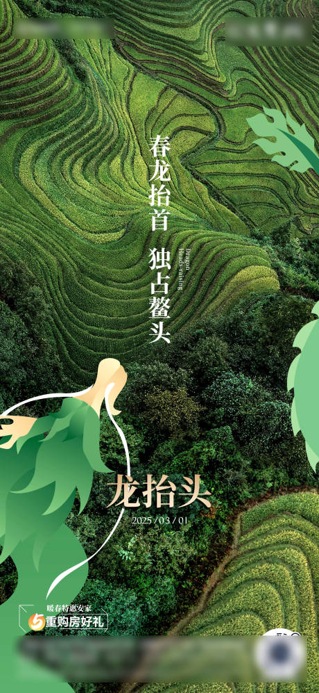 源文件下载【龙抬头海报】编号：13370029092163693