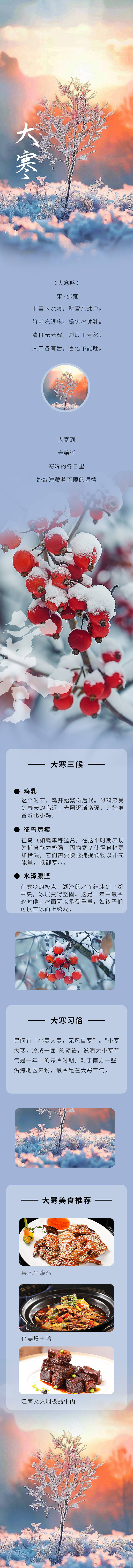 源文件下载【享设计】搜索编号：26290028825999235【大寒节气海报】