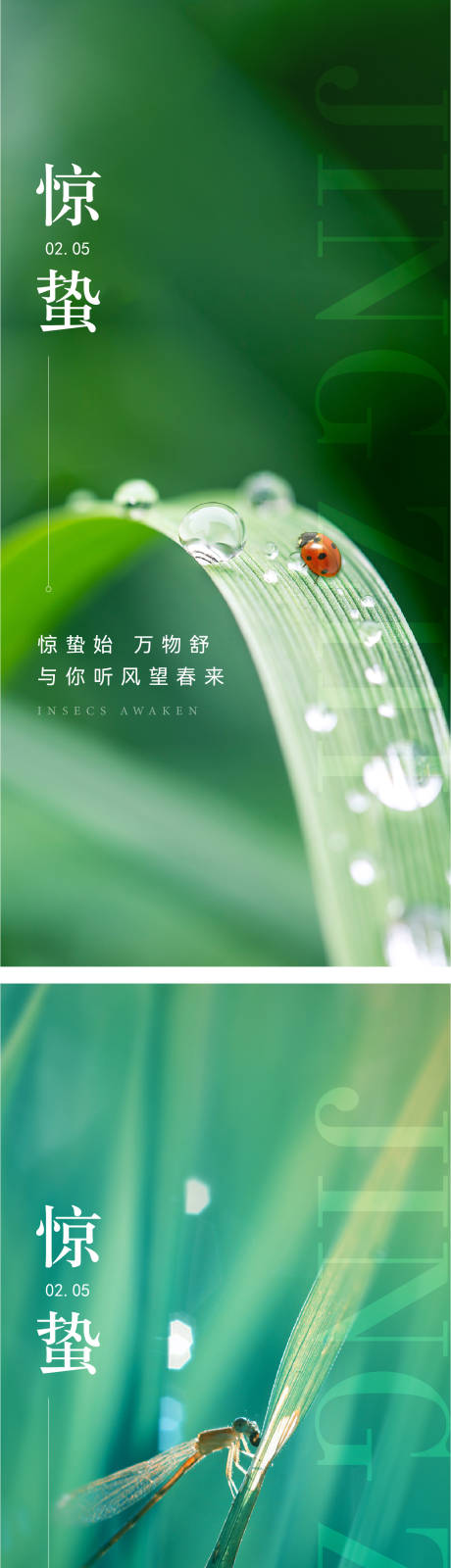 源文件下載【享設計】搜索編號：69850028922044953【驚蟄節氣海報】