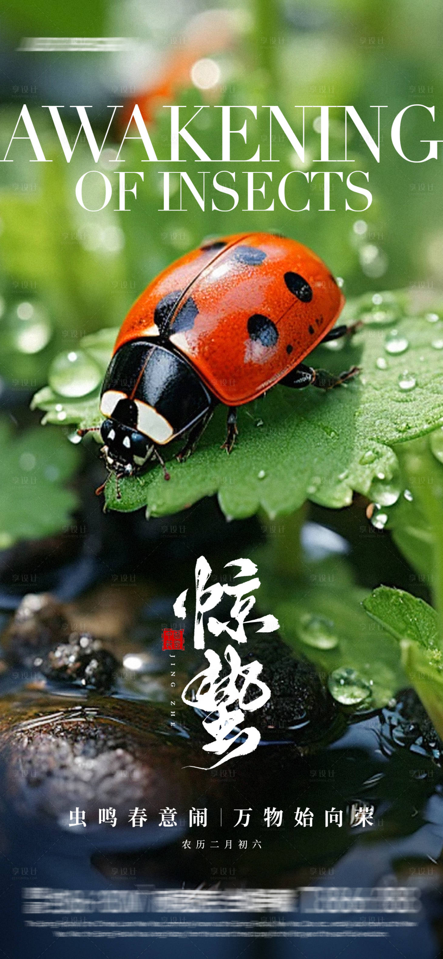 源文件下載【享設計】搜索編號：58760029044515811【七星瓢蟲驚蟄海報】