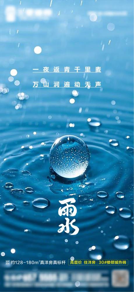 源文件下载【雨水海报】编号：10400028782466745