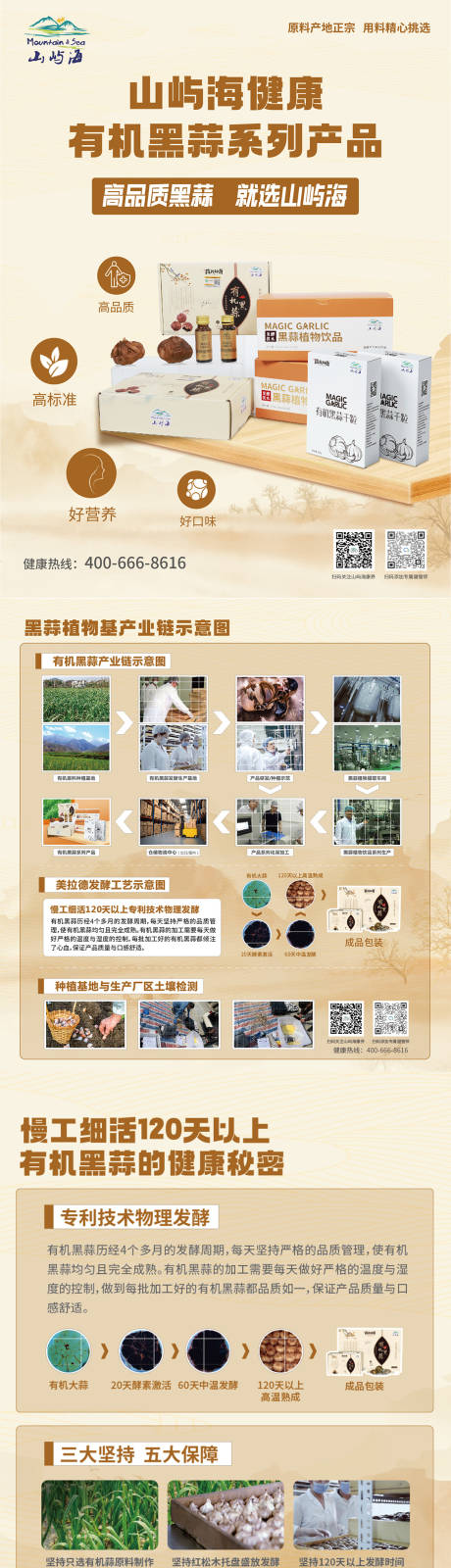黑蒜展板