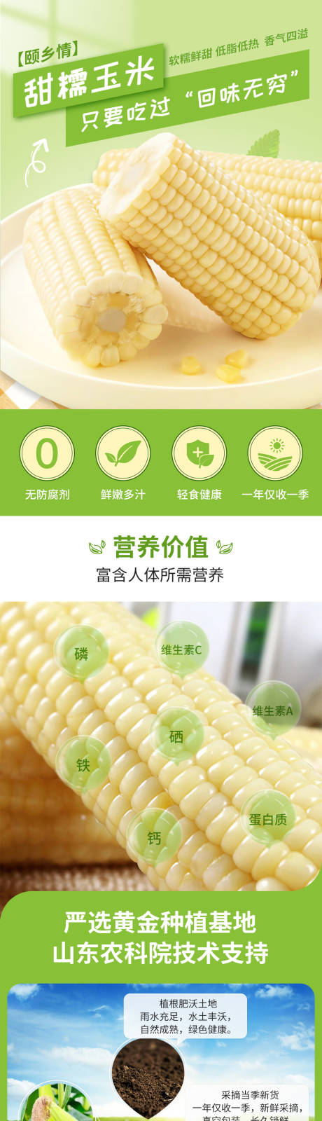 水果玉米白玉米电商详情页