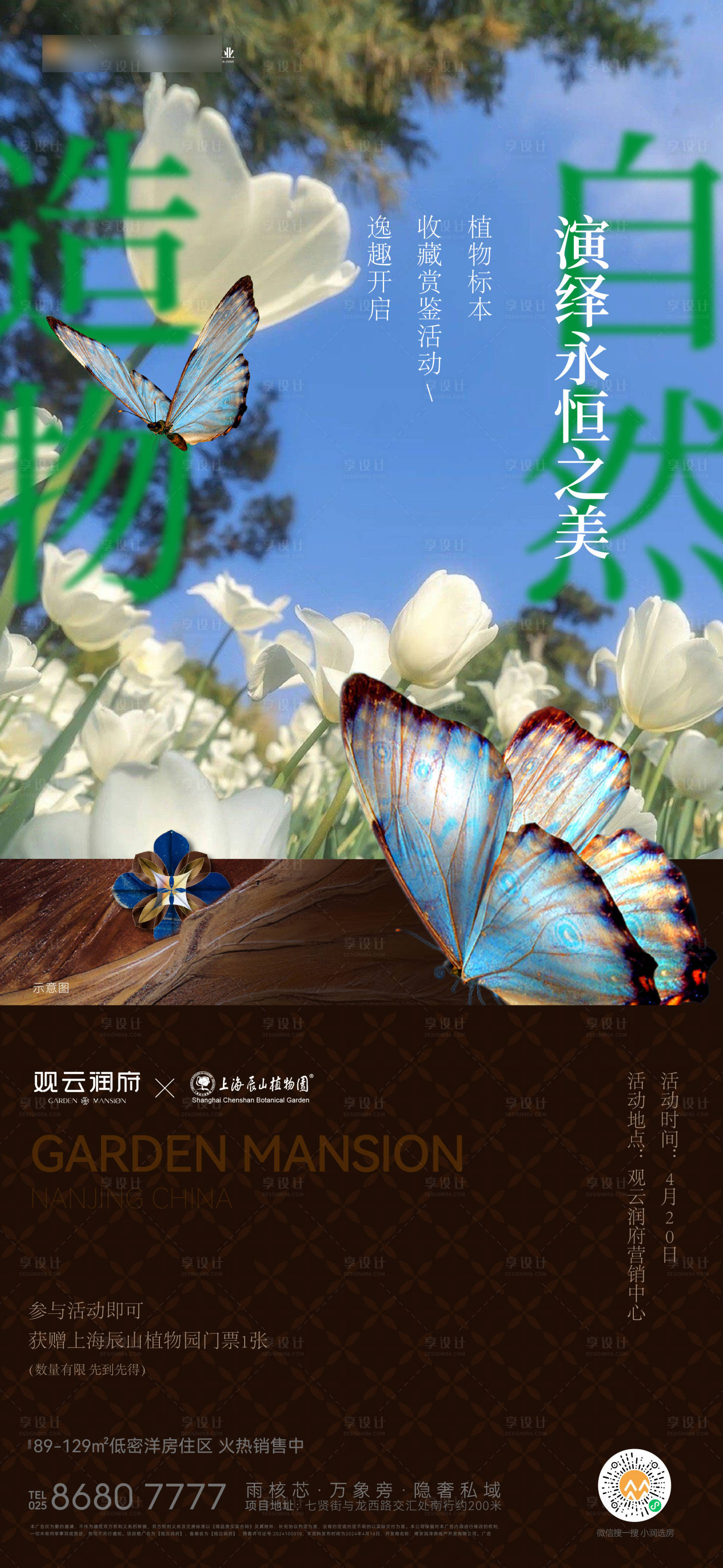 源文件下載【享設計】搜索編號：71290028948761639【標本活動海報】