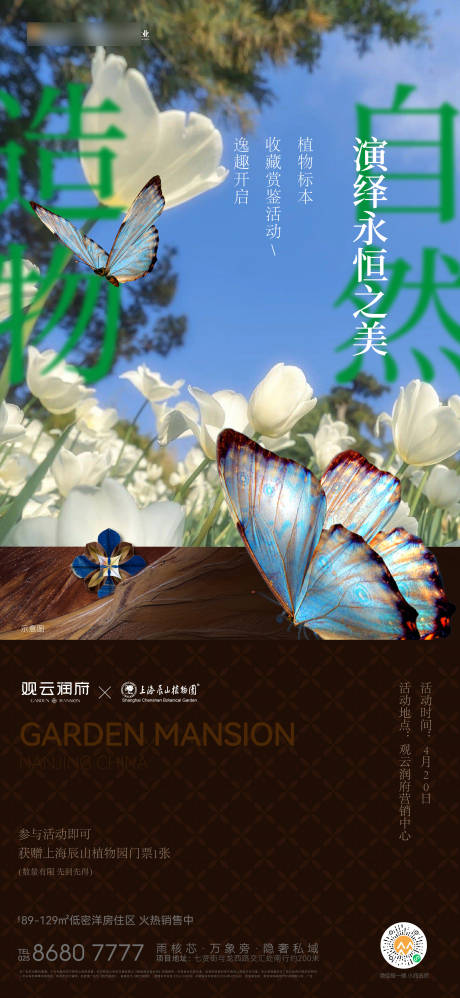 标本活动海报
