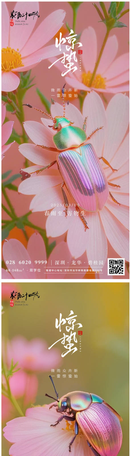 源文件下载【惊蛰海报】编号：48220029086559749