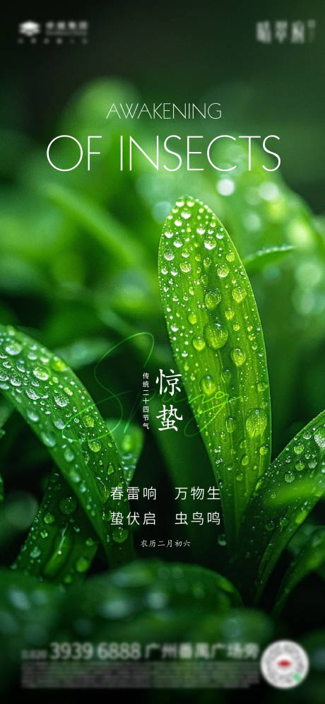 源文件下載【享設(shè)計(jì)】搜索編號(hào)：41440029072263638【節(jié)氣海報(bào)驚蟄綠色】