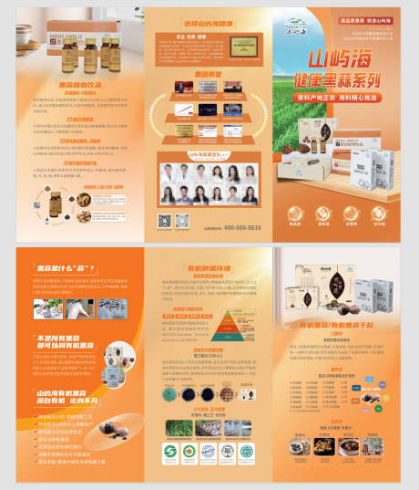黑蒜三折页