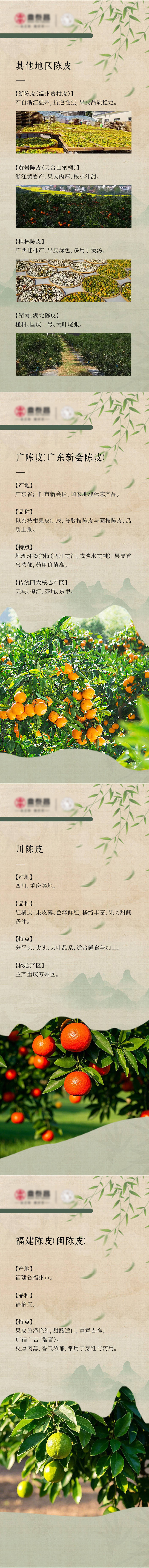 源文件下载【陈皮产品介绍系列展架易拉宝】编号：45410028870393506
