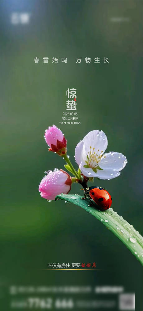 源文件下载【享设计】搜索编号：31220028837718273【房地产现房惊蛰节气海报】