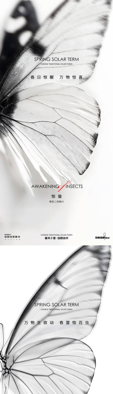 源文件下載【驚蟄節氣蝴蝶攝影簡約高級海報】編號：87250028937067232