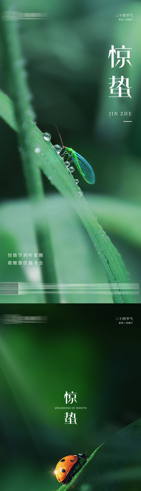 源文件下载【惊蛰】编号：16090028838097499