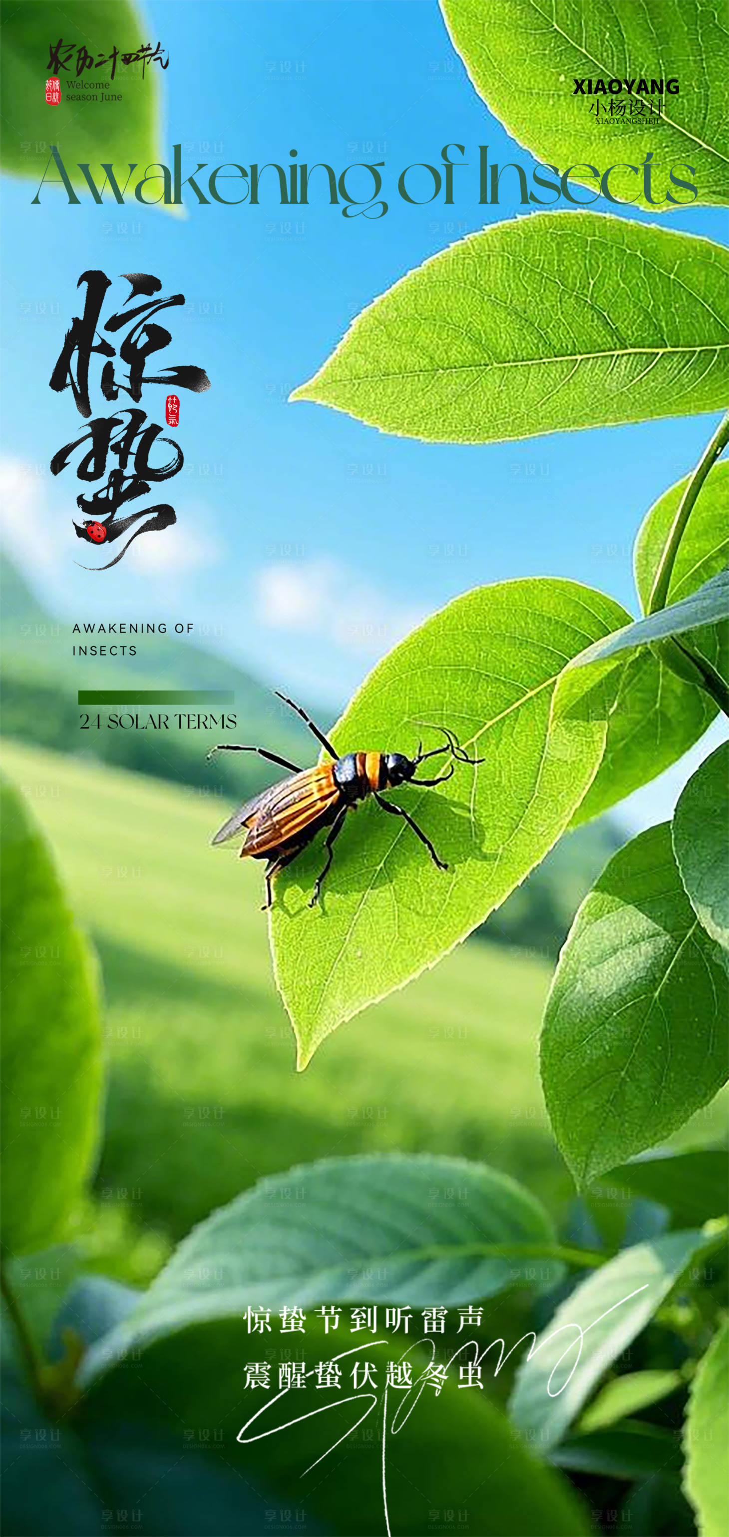 源文件下載【享設計】搜索編號：55300028904658218【驚蟄節氣海報】