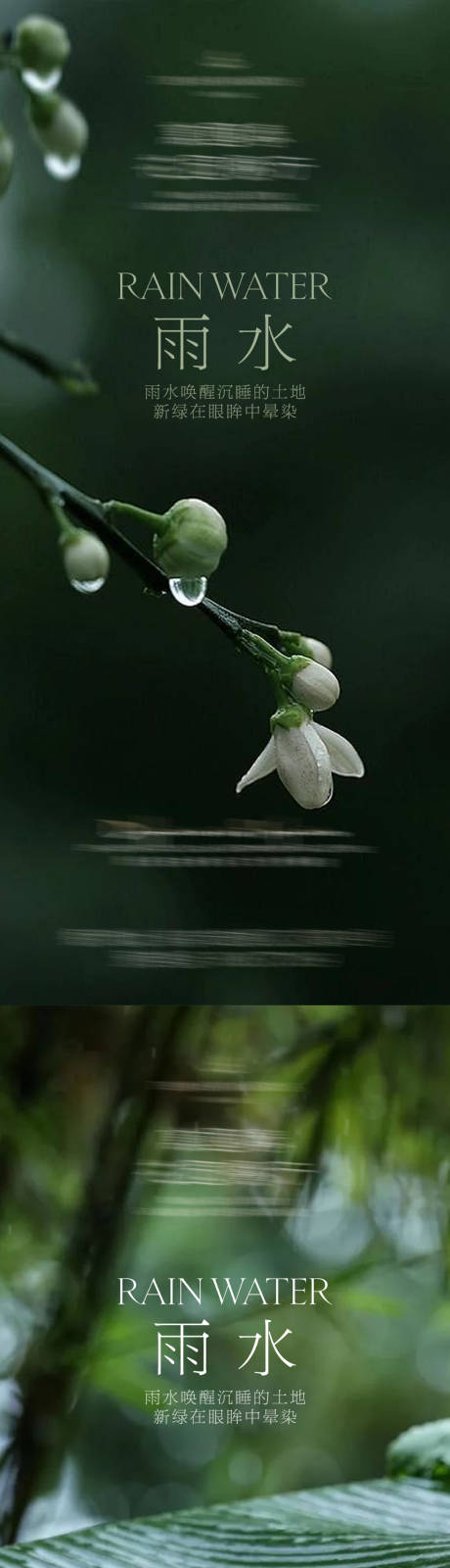 源文件下载【二十四节气雨水海报】编号：64690028803084075