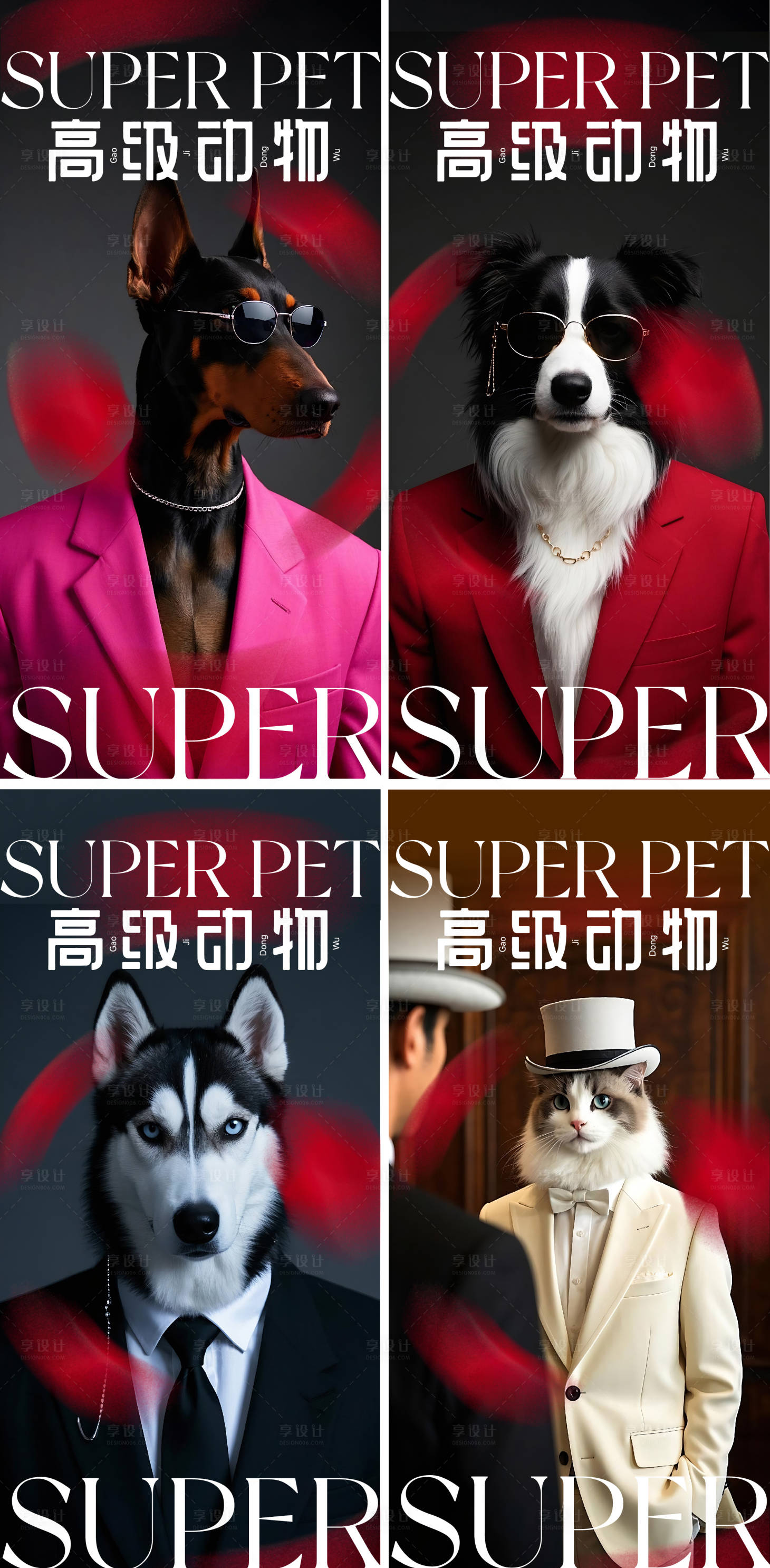 源文件下载【享设计】搜索编号：98840028974091517【高级简约动物宠物杜宾猫狗杂志封面海报】