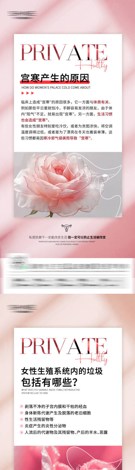 源文件下載【私密科普海報】編號：86490028957252121