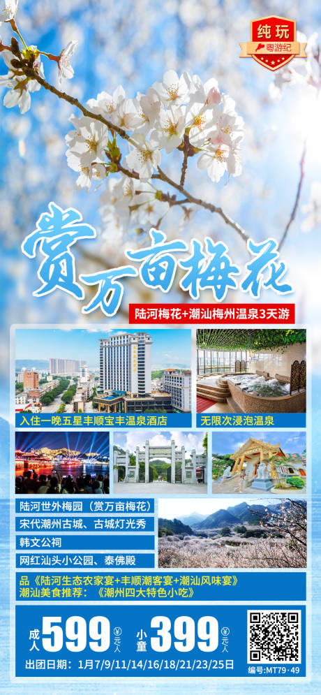陆河梅花旅游海报
