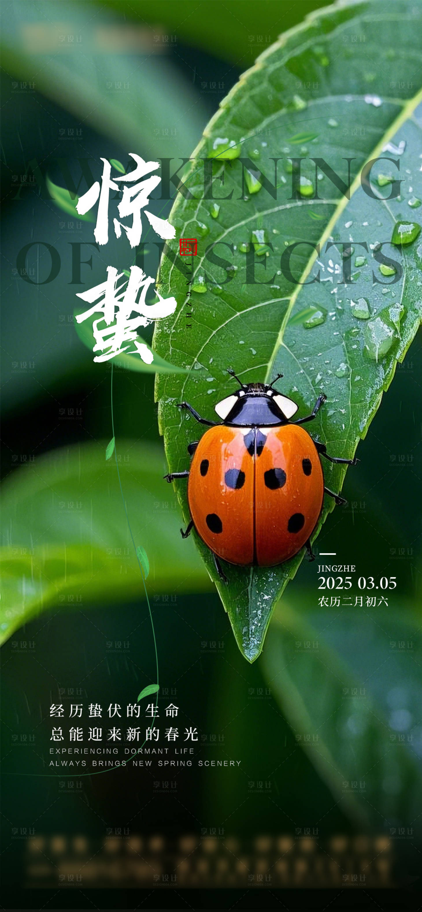 源文件下載【享設(shè)計(jì)】搜索編號(hào)：53940028924491755【驚蟄海報(bào)】