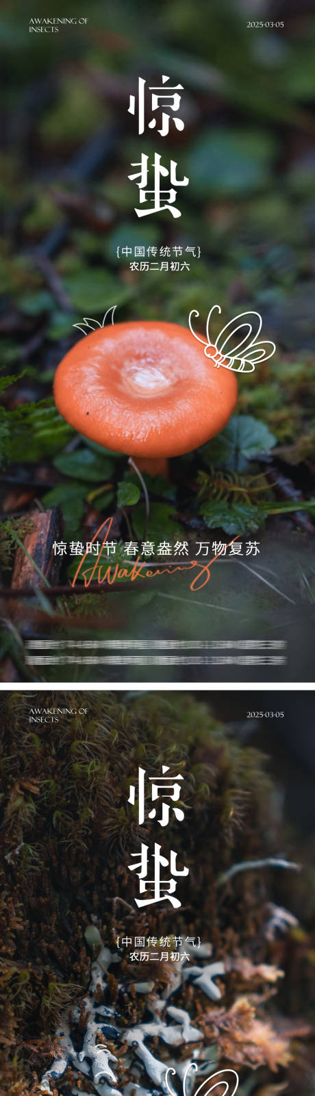 源文件下載【驚蟄節氣海報】編號：49000029084584103