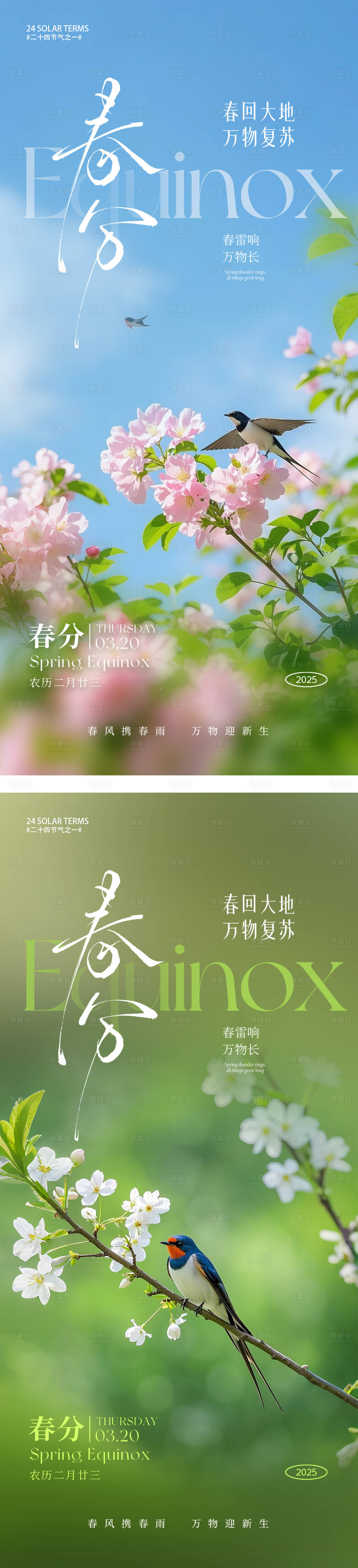 源文件下载【春分节气】编号：59500028929288563