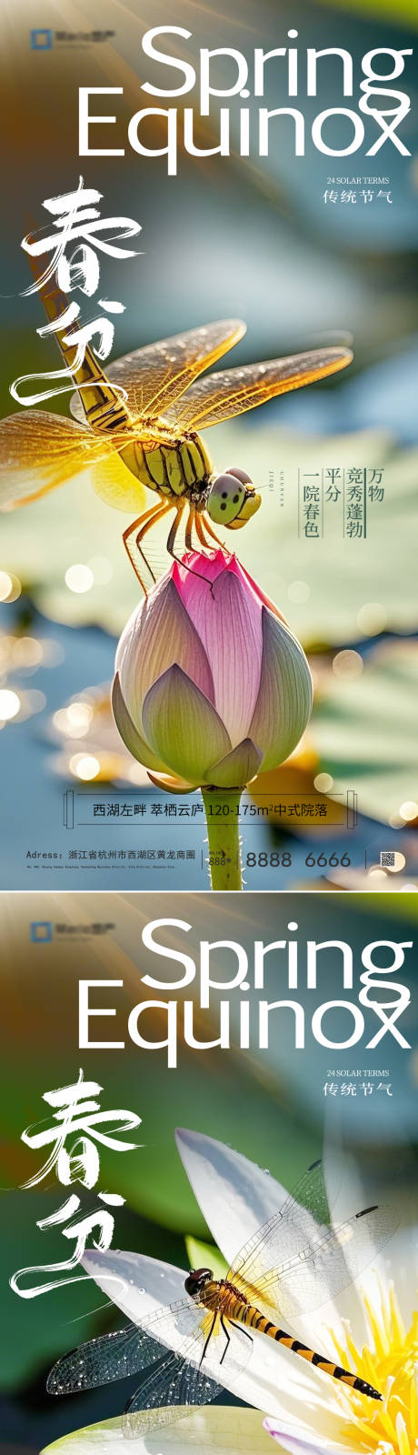 源文件下载【春分二十四节气海报】编号：80330028862429047